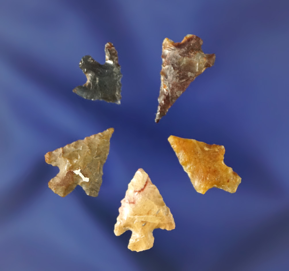 Set of five assorted arrowheads, largest is 13/16".  Found near the Columbia River. Ex.Heimbigner