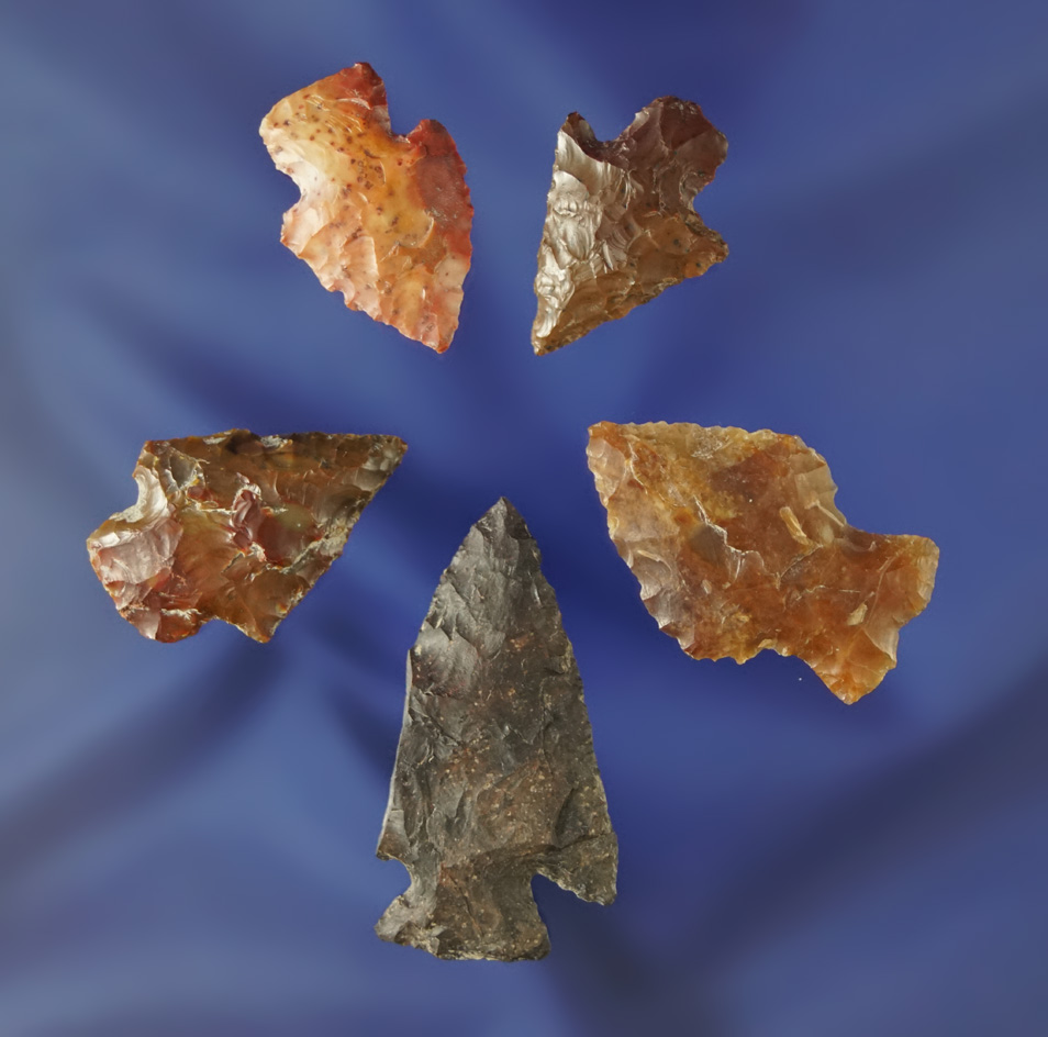 Set of five assorted Columbia River arrowheads, largest is 1 7/16" Ex. Fred Heimbigner collection.
