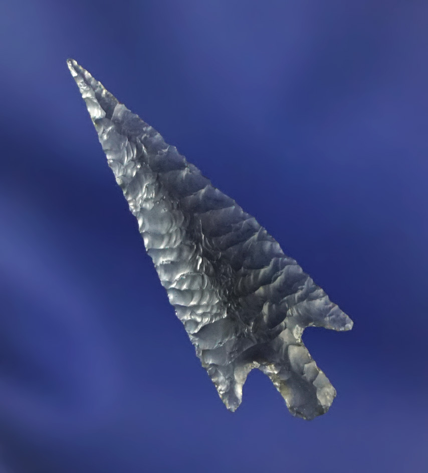 Exceptional! Simply perfect 1 1/4" Rose Springs - Lake Co., Oregon. Pictured in Overstreet!