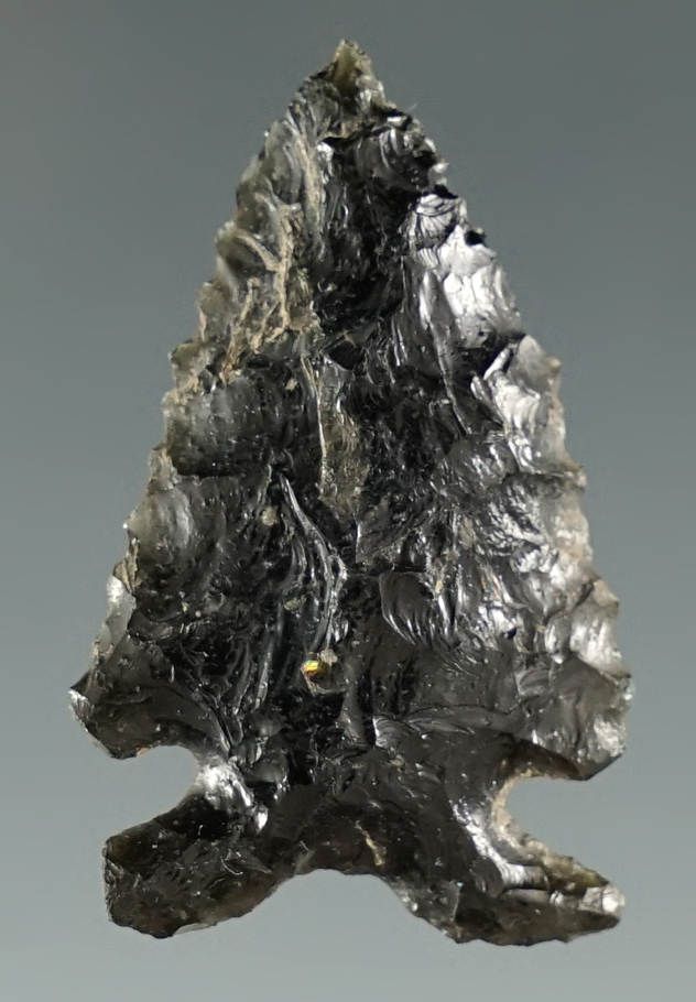 1 1/4" Elko Eared made from Obsidian. Found in the Great Basin, Oregon.