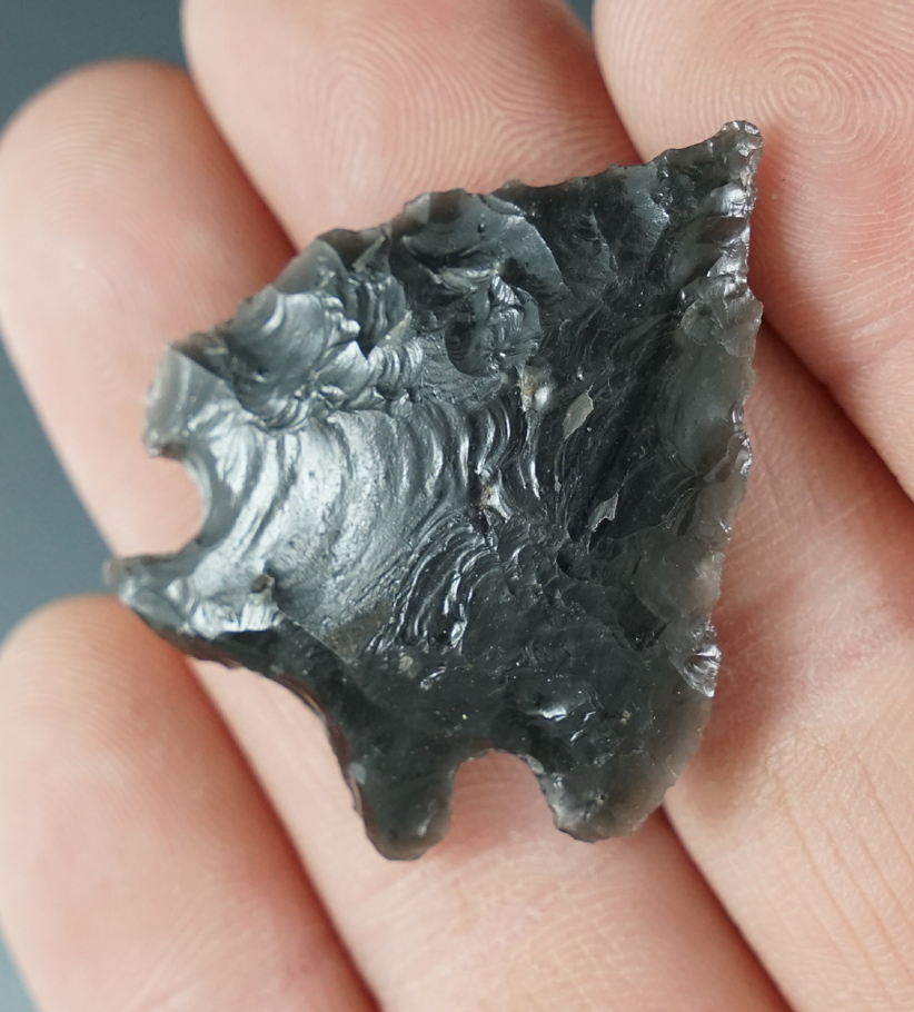 1 1/2" Elko Ear black Obsidian. Found in the Great Basin, Oregon.