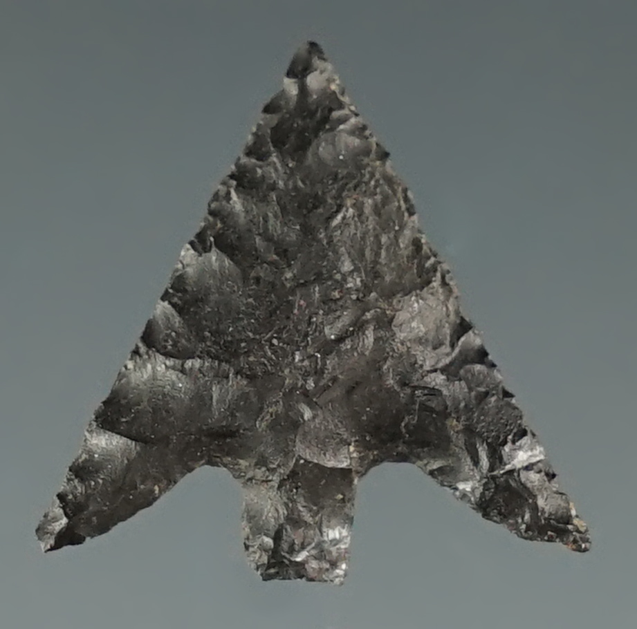 5/8" Columbia Plateau made from black Jasper. Found near the Columbia River, Oregon.