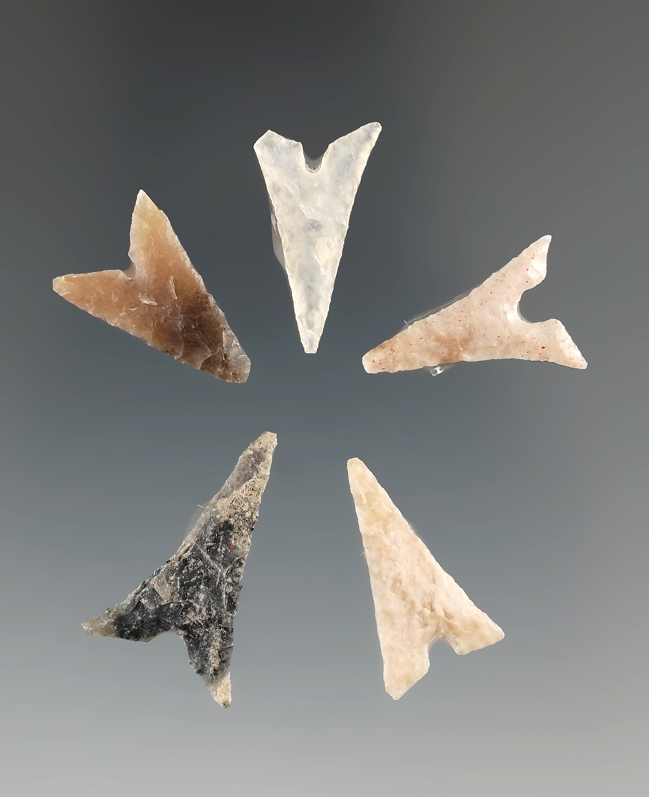 Excellent set of five Garza points found in Texas, largest is 7/8".