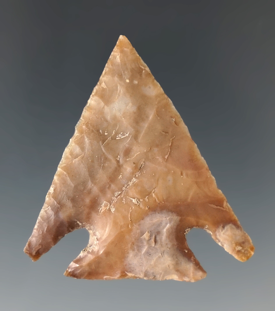 Thin! 1 11/16" Marcos point found in Polk Co., Texas. Comes with a Roger COA.