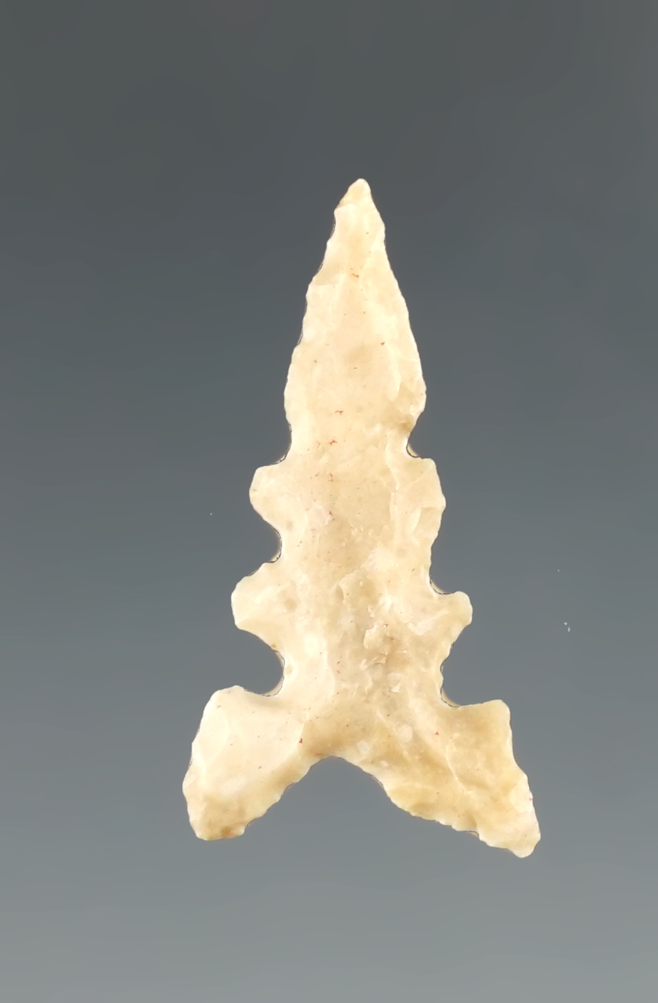 1" serrated Toyah point found in Texas.