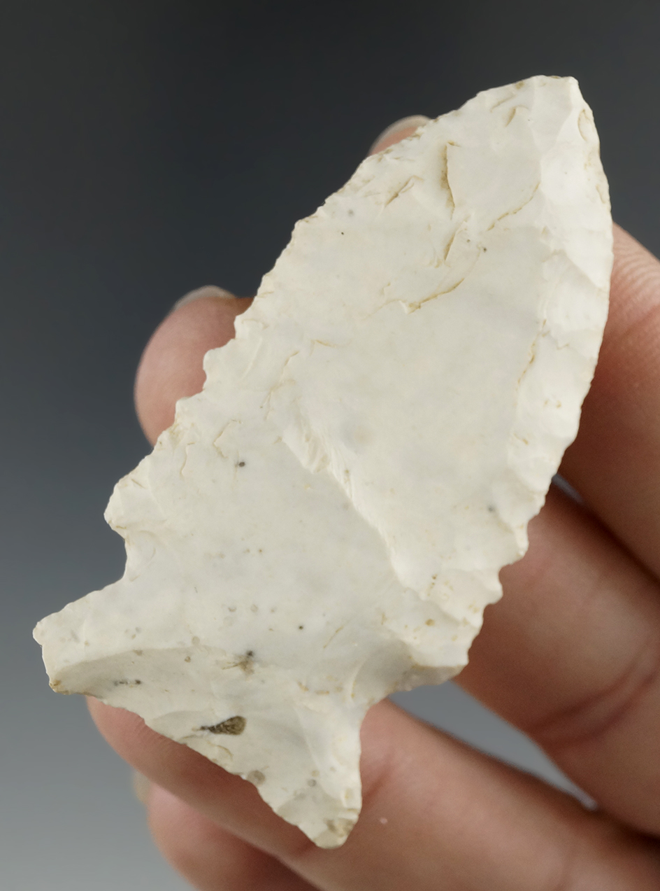 2 1/4" Serrated Knife found in Missouri made from Burlington chert.