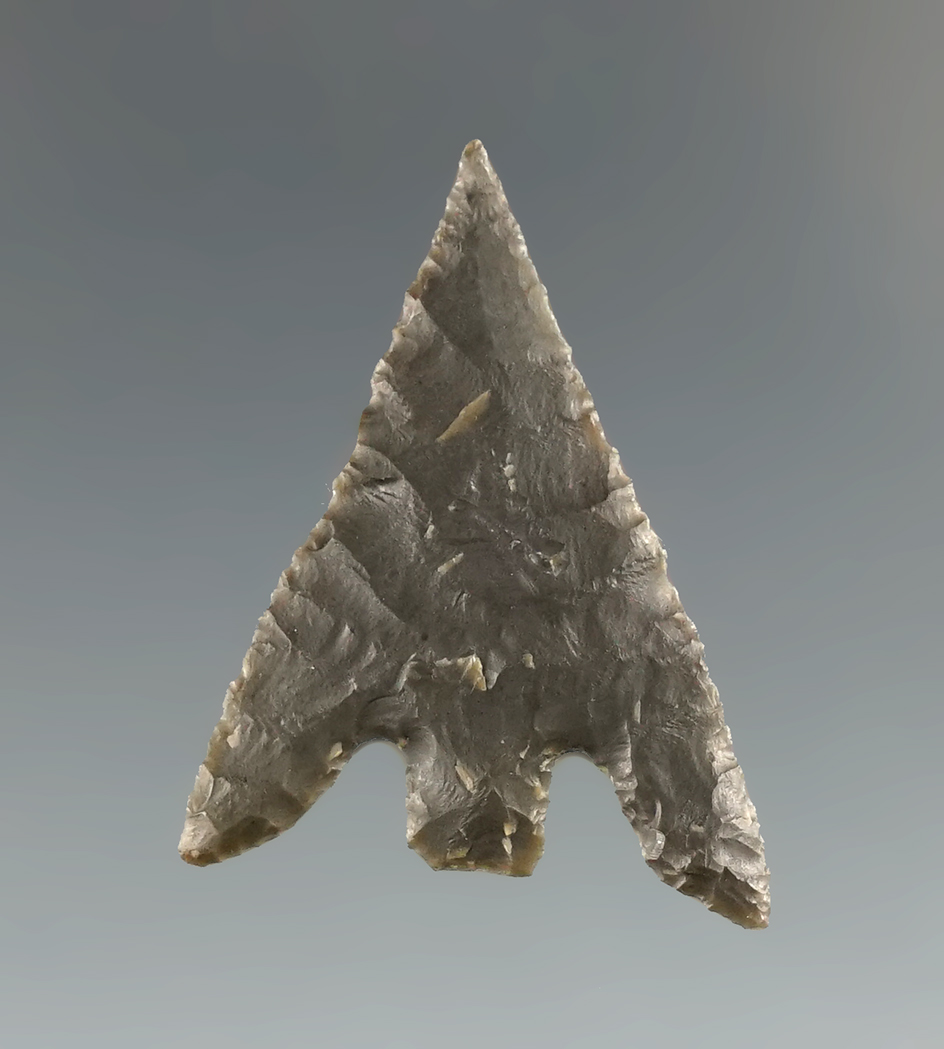 1 3/16" Gunther points in excellent condition found in Oregon. Ex. Charles Shewey.