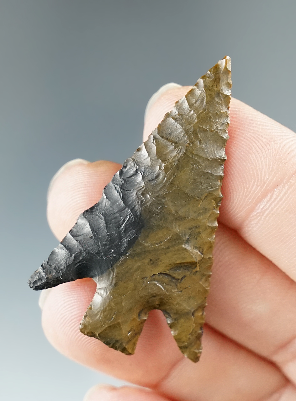 Large for type! 1 11/16" Columbia Plateau found in Klickitat Co., Washington.