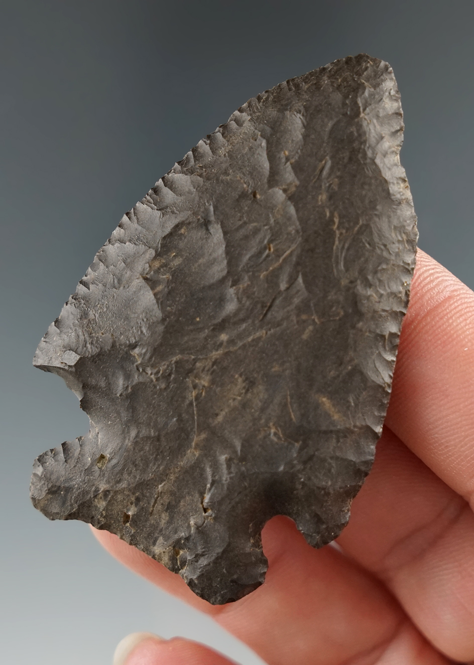2 3/8" Archaic Cornernotch found by David Rich in the 1960s in Wayne Co., Tennessee.