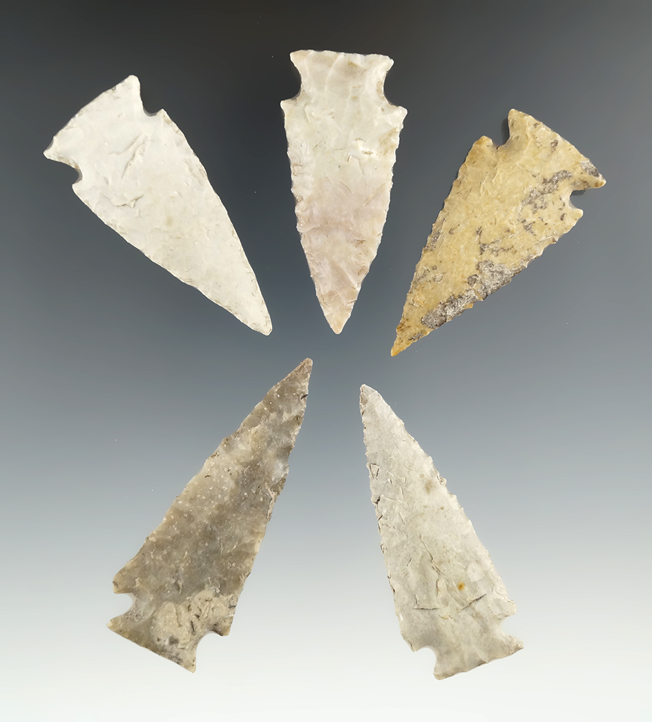 Set of five Ensor points very nice condition found in Texas, largest is 2 7/16".