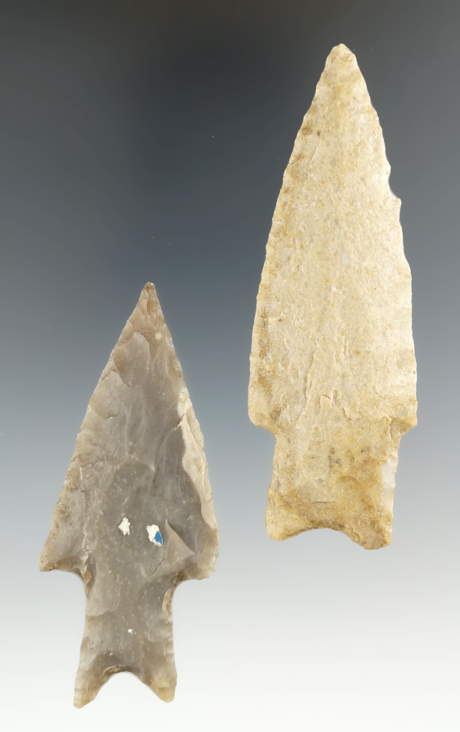 Pair of Uvalde points found in Texas, largest is 3 5/16".
