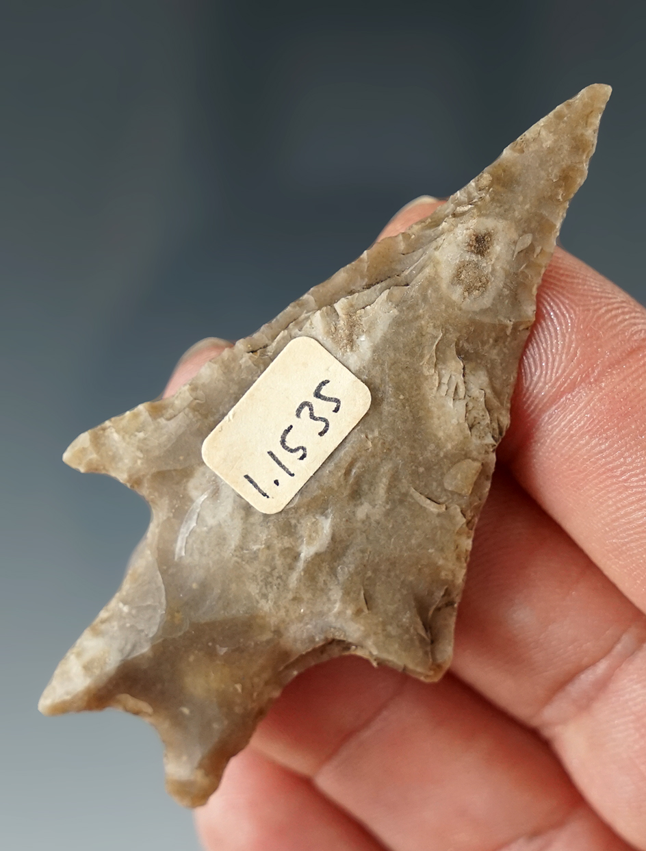 2 5/8" Pedernales points made from attractive mottled Flint found in Texas.