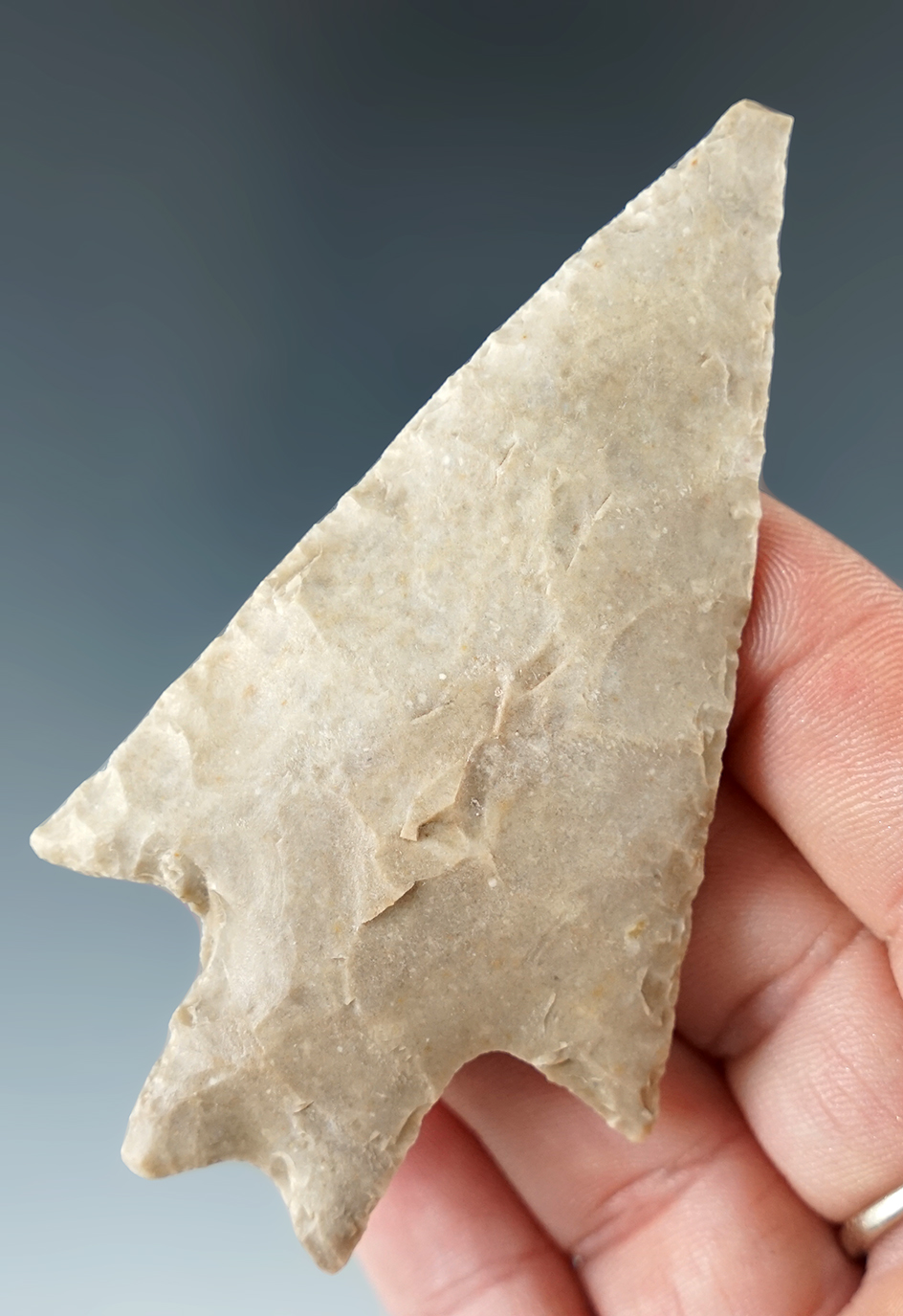 Excellent flaking and style on this 3 3/16" Pedernales point found in Central Texas.  Rogers COA.