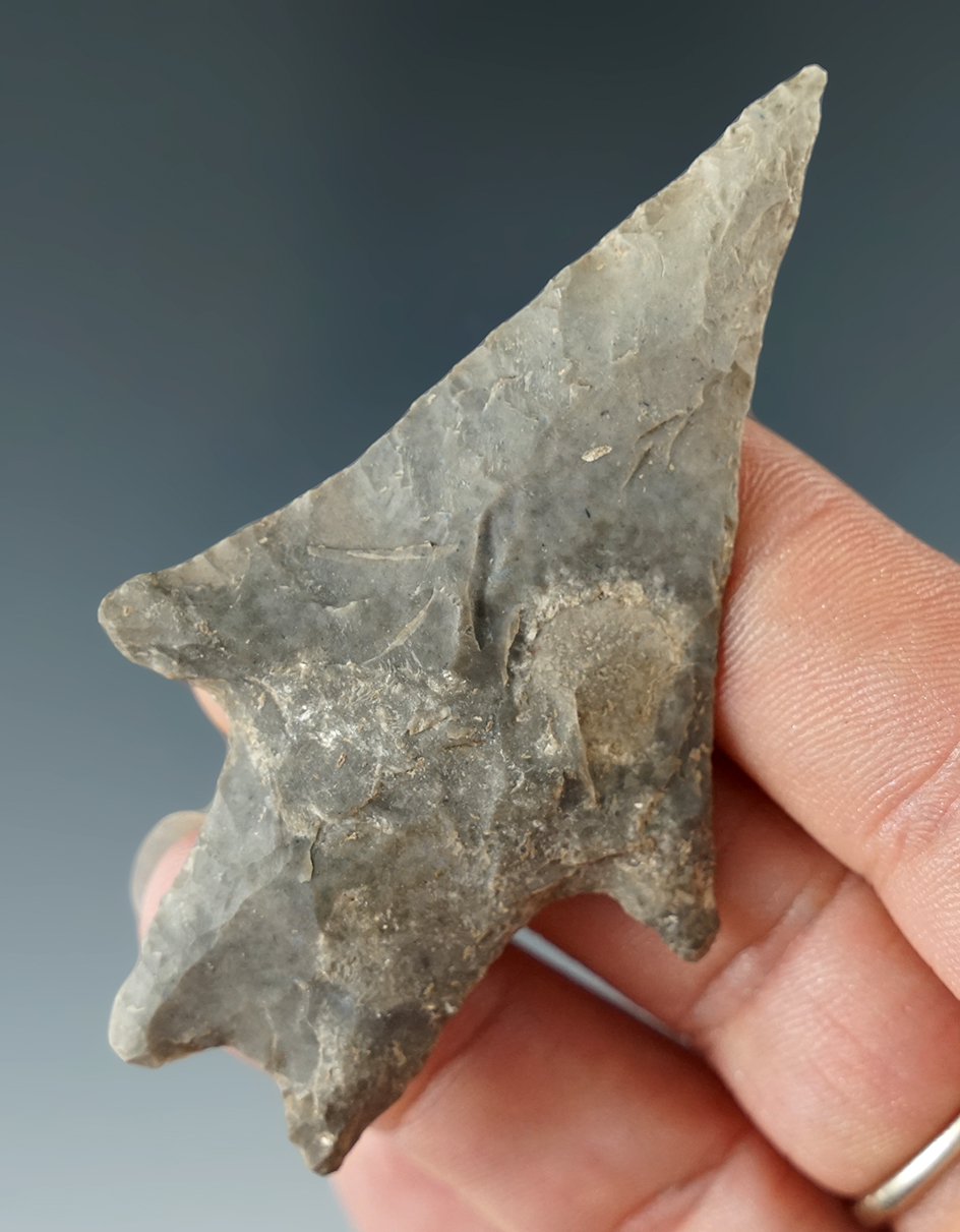 Classic style 2 7/8" Pedernales point found in Texas.