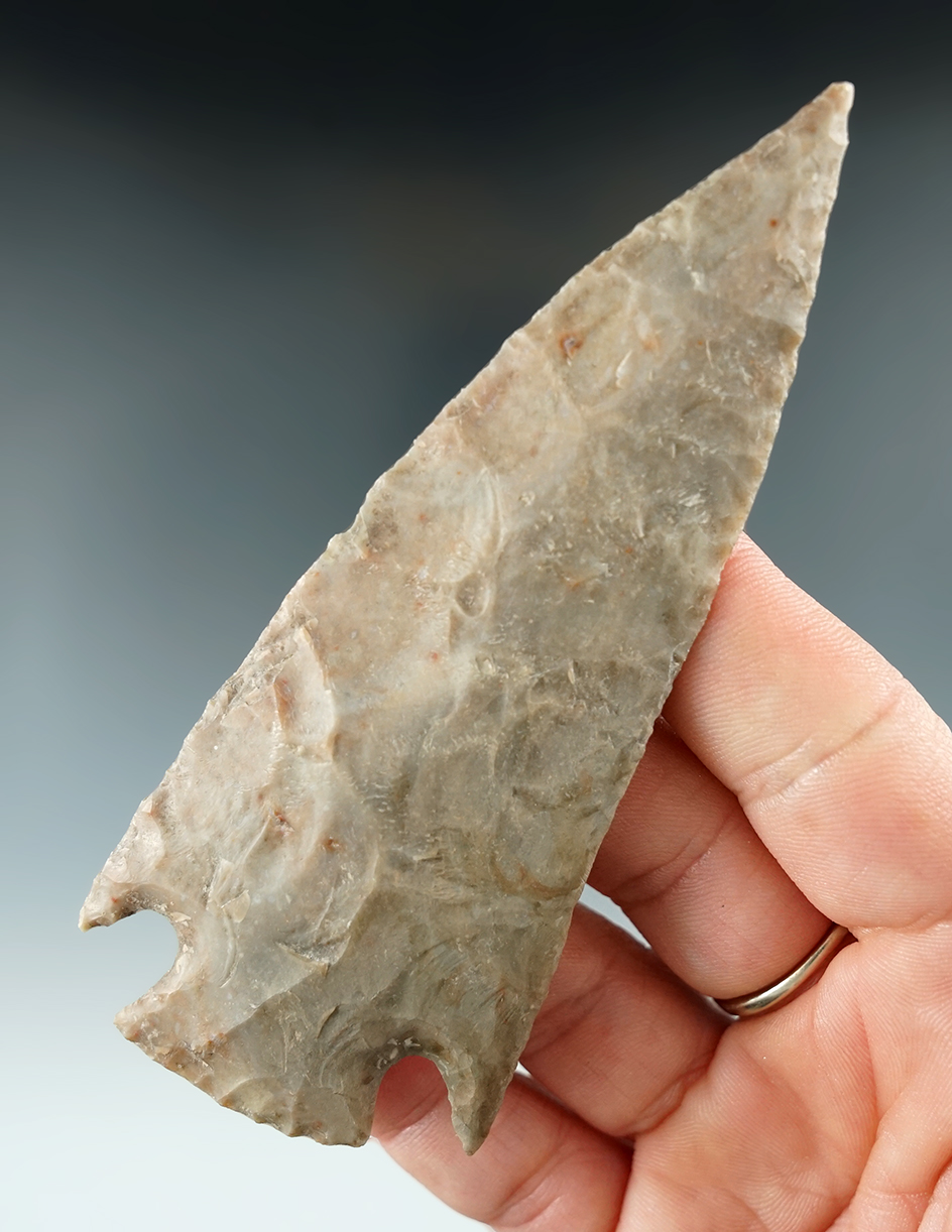 Very fine 4 1/4" Castroville with one restored ear professionally completed by Dennis Bushey.