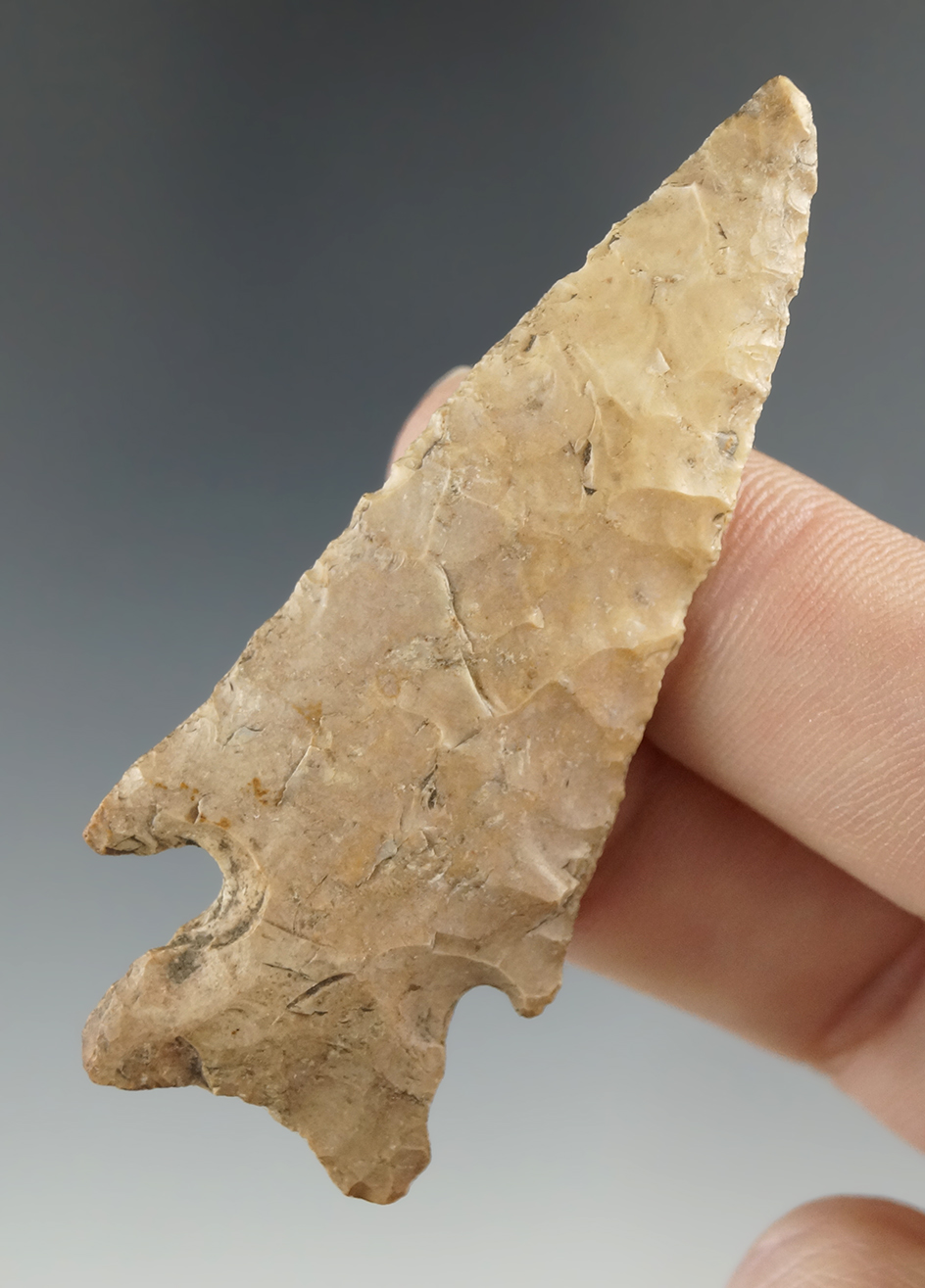 2 1/2" Cornernotch dart point found in Indiana. Ex. Clarence Warnock.