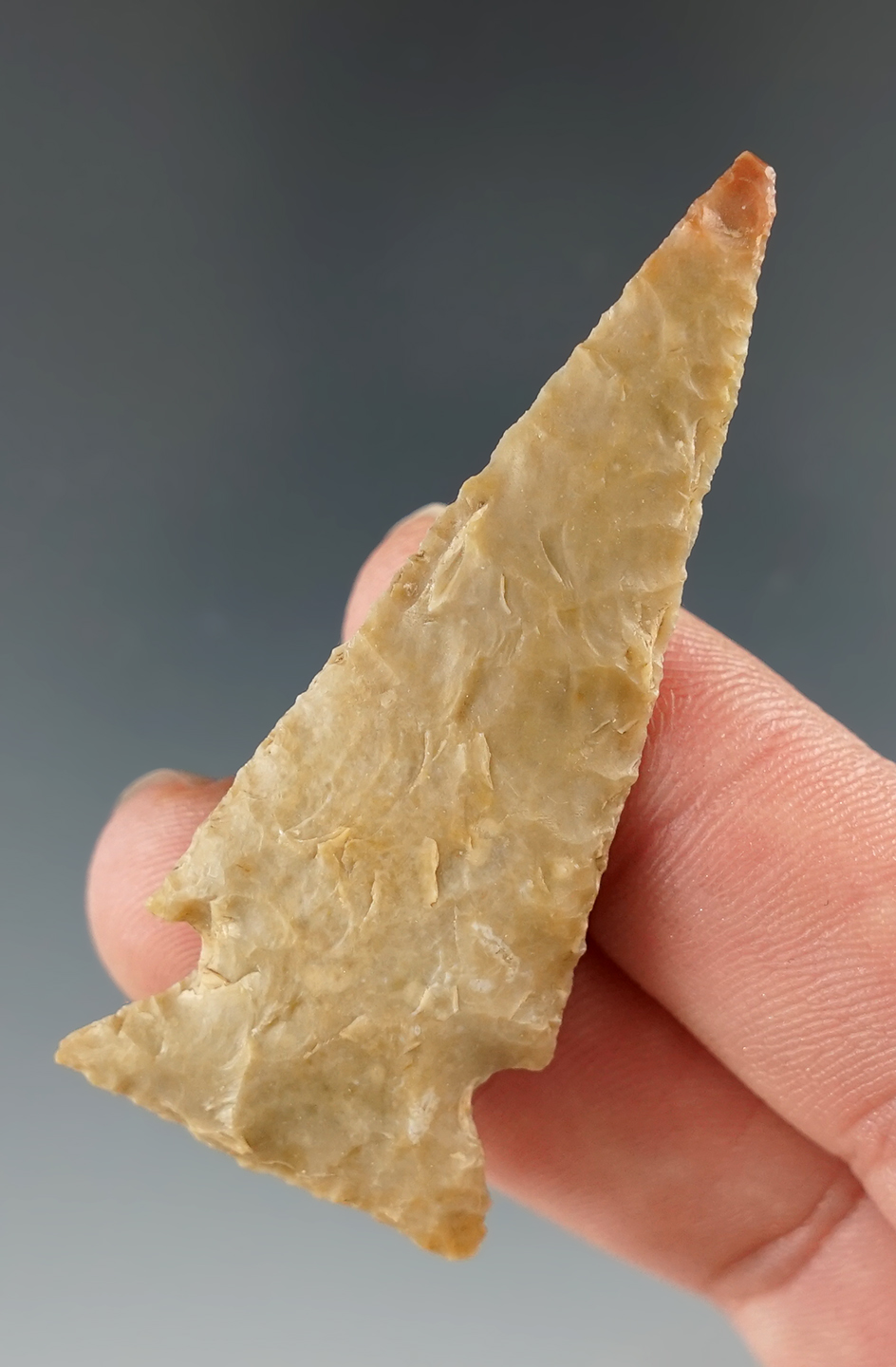 2 3/16" Ensor points found in Kirk Co., Texas