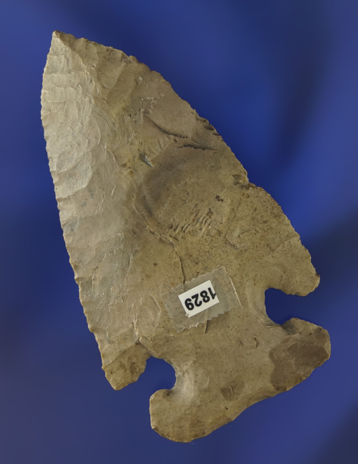 3" Archaic Thebes Bevel found in Miami Co., Ohio.  Elleman.