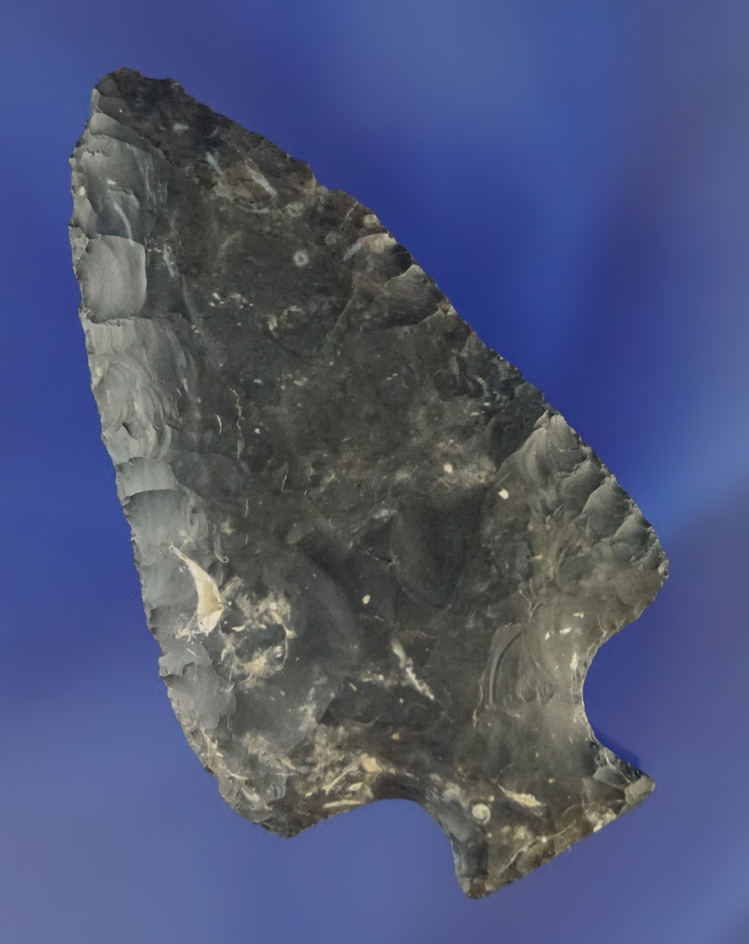 Coshocton Tablerock/Bottleneck found in Coshocton Co.,  Ohio.