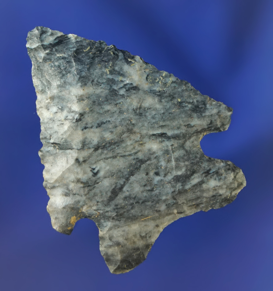 2" colorful Coshocton Flint Cornernotch point found in Fairfield Co.,  Ohio.