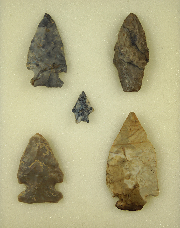 Set of five arrowheads found in Trumbull and Lorain Co., Ohio by Joe Kolar. Largest is 2 5/8".