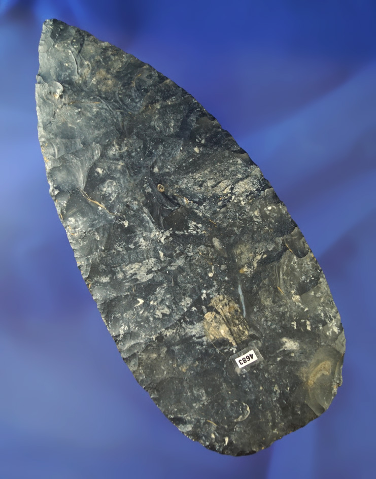 Huge 7 3/16" Coshocton Flint Blade - very nicely flaked. Found in Brown Co., Ohio. Ex. Elleman.