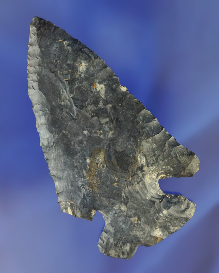 3 3/4" Coshocton Flint Thebes Bevel found in southern Lorain Co.,  Ohio by Joe Kolar.