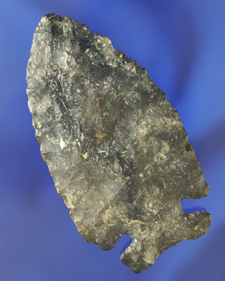 3 5/8" classic styled Coshocton Flint Thebes that is nearly 1st stage. Found in Champaign Co.,  Ohio