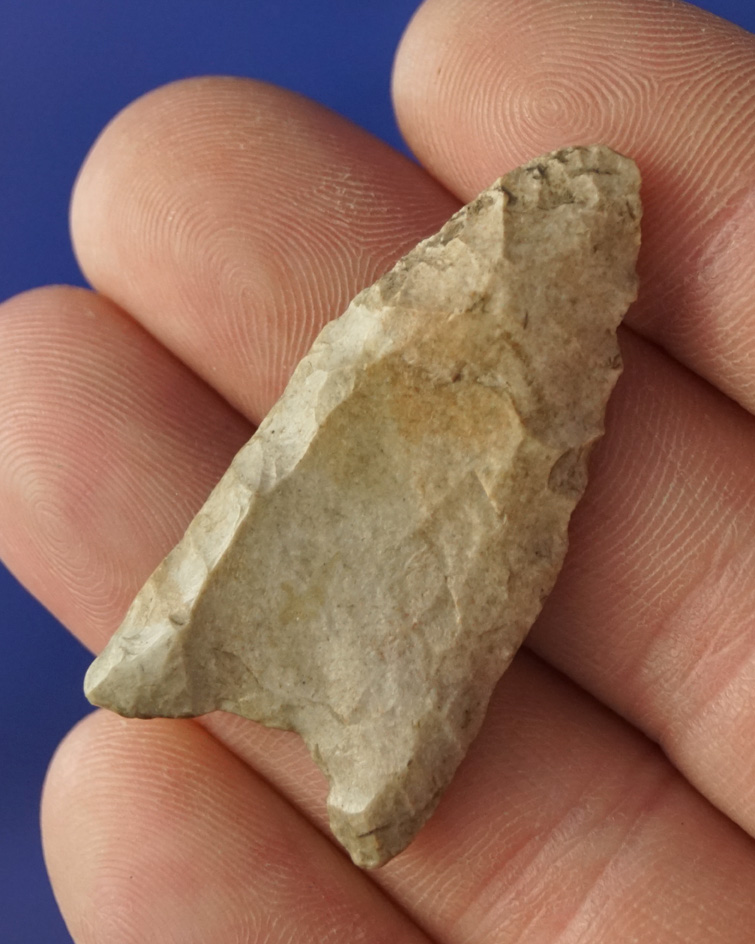 1 11/16" rare style Paleo Redstone found near Westerville Ohio. Comes with a Rogers COA.