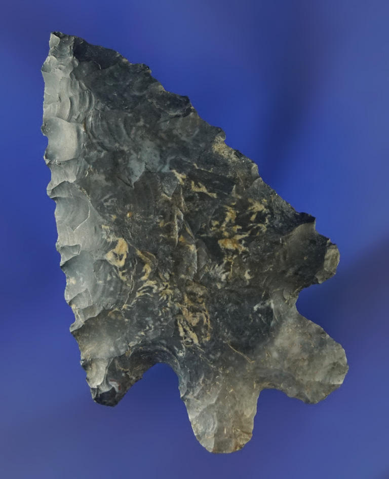 2 1/2" serrated Coshocton Bifurcate found in Richland Co.,  Ohio.