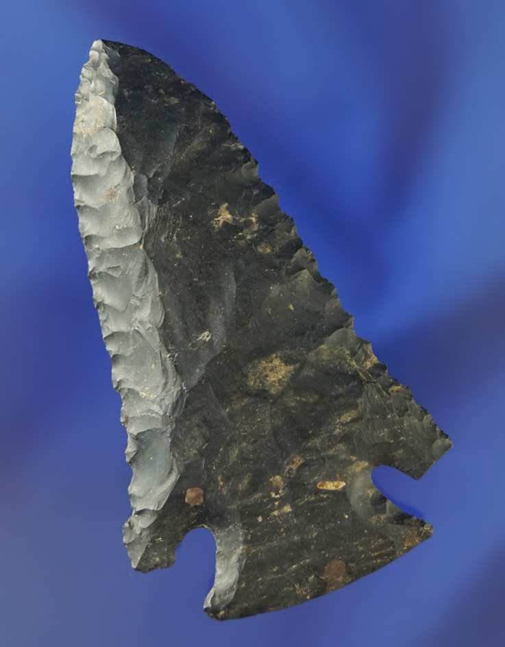 3" Coshocton Flint Archaic Bevel found in Warren Co.,  Ohio.