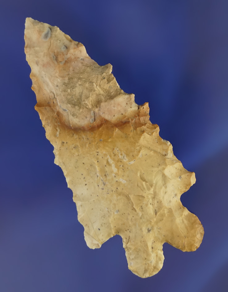 3 1/4" colorful Flint Ridge Flint serrated Bifurcate found in Stark Co.,  Ohio with nice serrations.