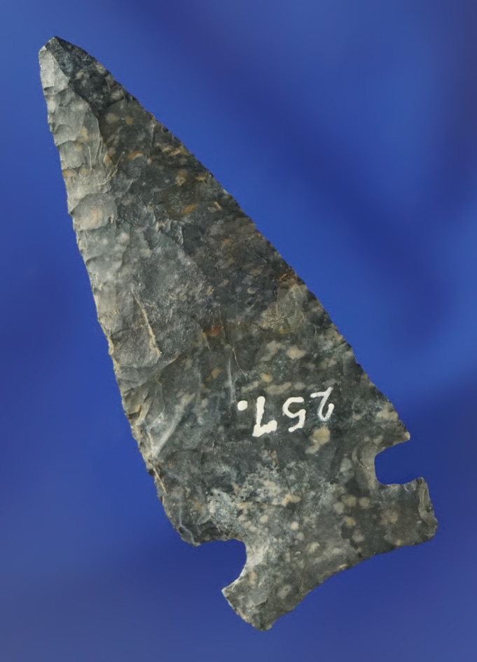2 1/8" Coshocton Flint Intrusive Mound point found in Ohio. Ex. Dean Driskill collection #257.