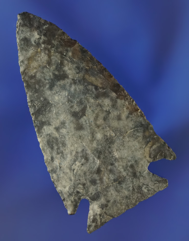 Very fine thin 2 1/2" Intrusive Mound point found near the Auglaize River, Ohio.