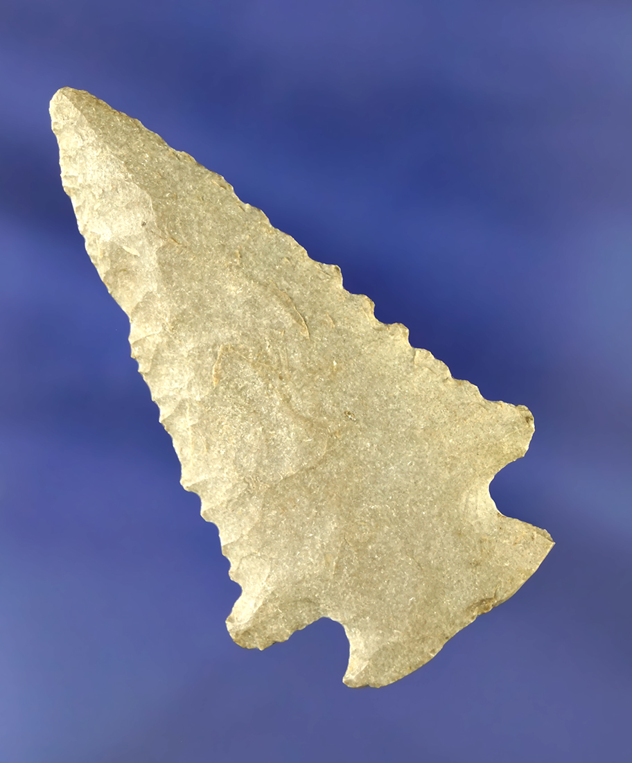 2 1/2" serrated Decatur Fracture Base found in Livingston Co.,  Kentucky.  Jackson COA.