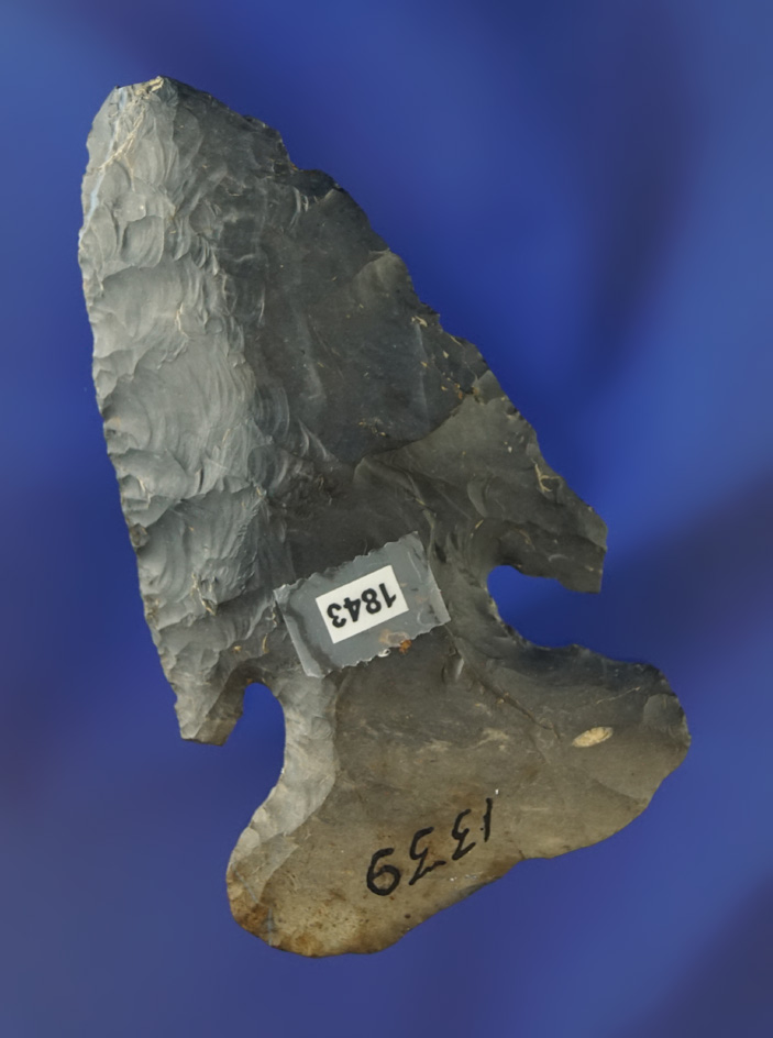 2 15/16" Archaic Thebes Dog Leg Bevel - Coshocton Flint, found in Miami Co., Ohio.  Elleman.