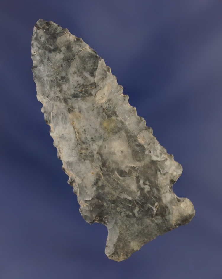 2 9/16" nicely serrated Coshocton Flint Knife found in Defiance Co.,  Ohio.