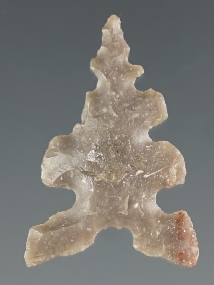 7/8" heavily serrated Toyah Point found in Texas.