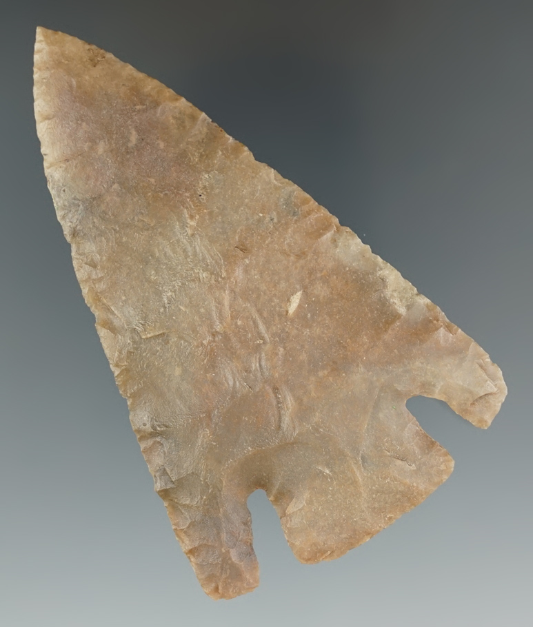 3 3/4" Castroville found in Bandera Co., Texas near Pipe Creek. Tip and one barb have restoration.