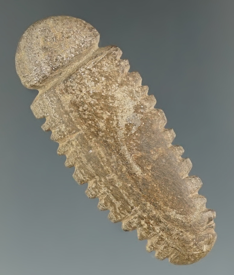 Extremely rare 2 1/16" Miniature Grooved Pendant - fine grain Sandstone. Brown Co., Ohio.