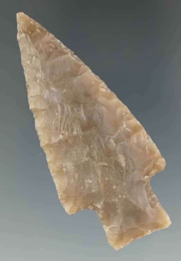 2 3/4" Darl found in Williamson Co., Texas. Comes with a Rogers COA.