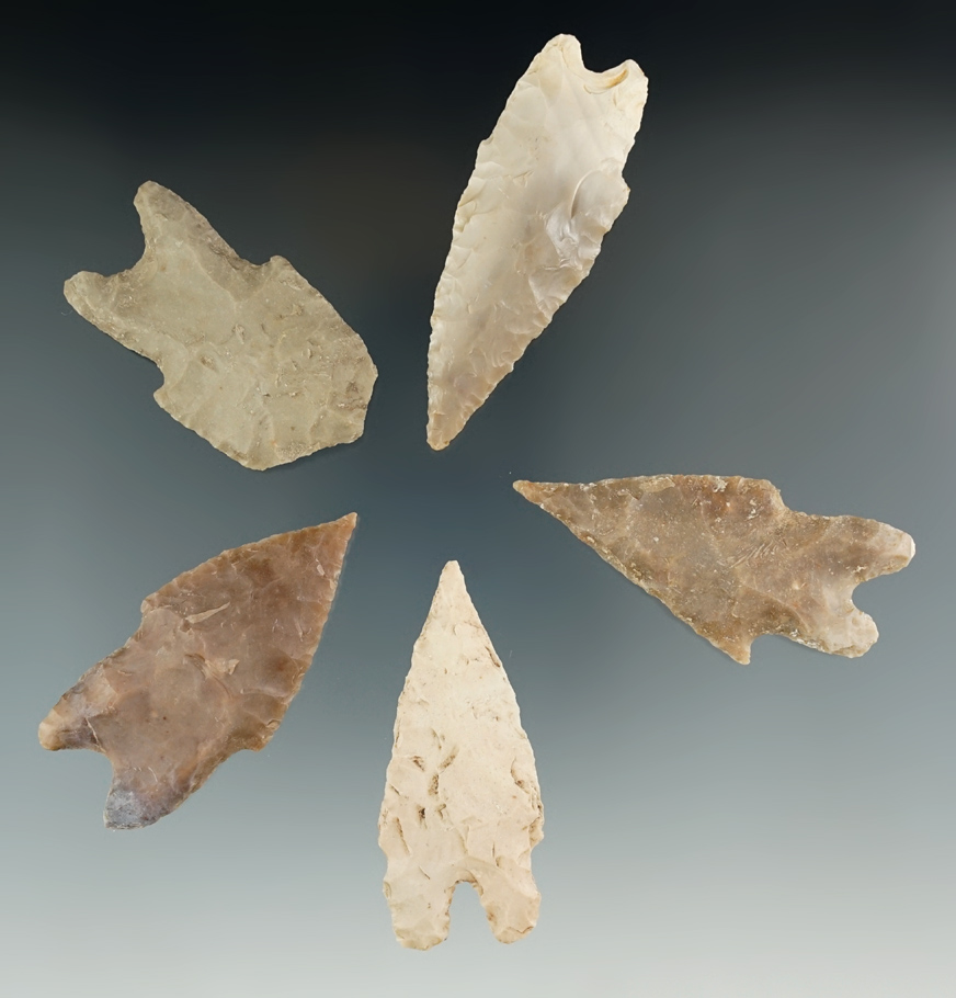 Set of five Pedernales Points found in Texas, largest is 2 11/16".
