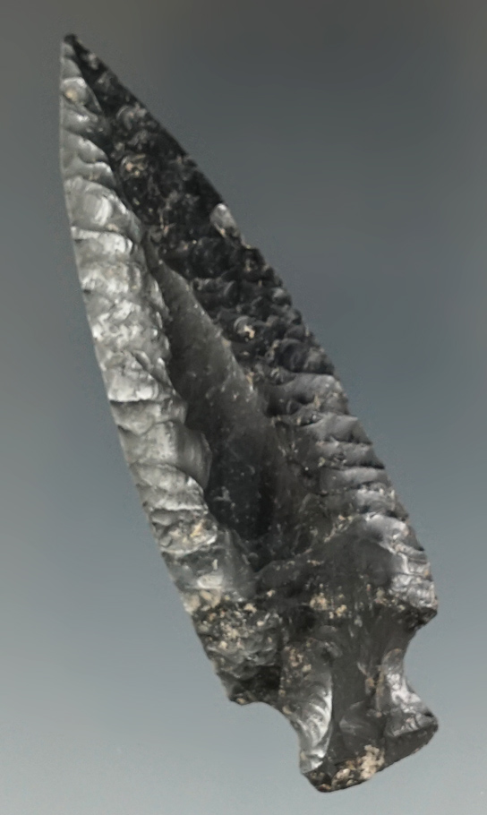 2 15/16" Mayan Stemmed Dart made from Obsidian. Found in Belize. Stermer and Bennett COAs.
