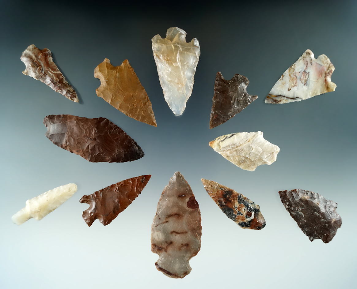 Group of 12 assorted points and Knives found near the Columbia River by Norma Berg, largest is 2 1/1