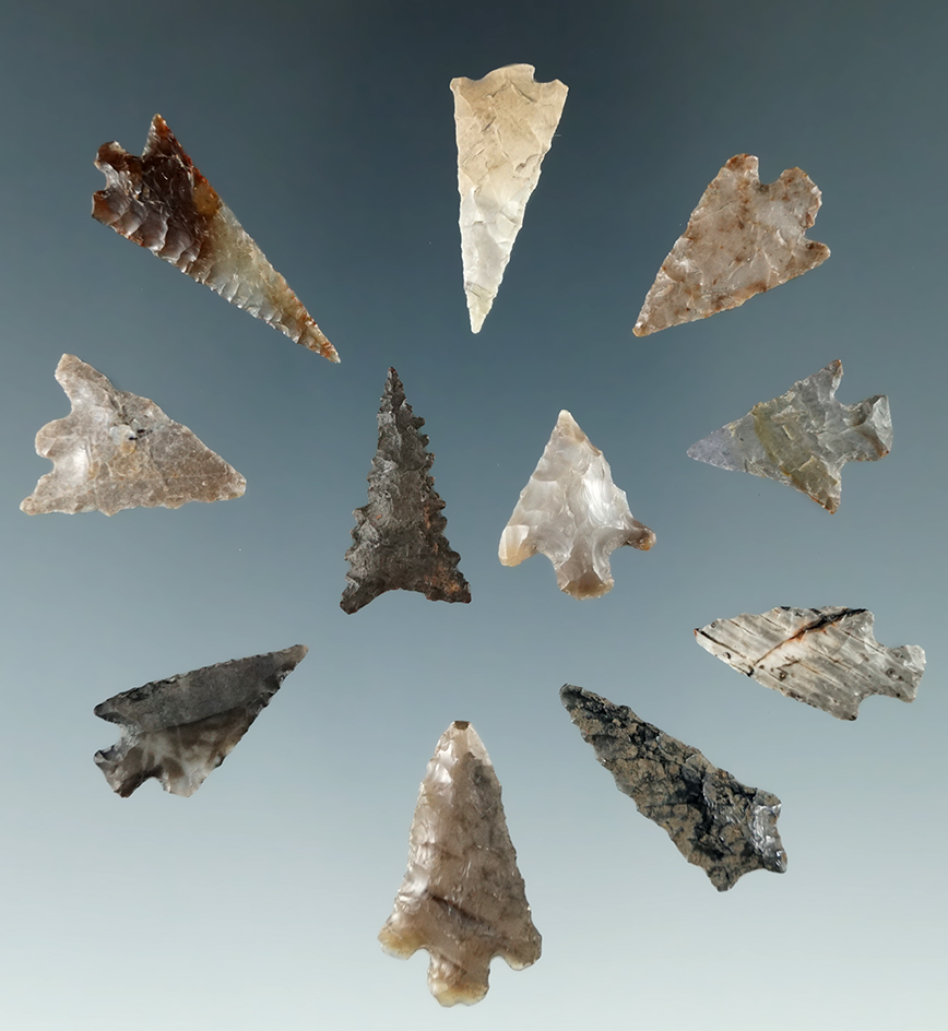 Group of 11 Columbia River arrowheads found in Washington, largest is 1 1/8".