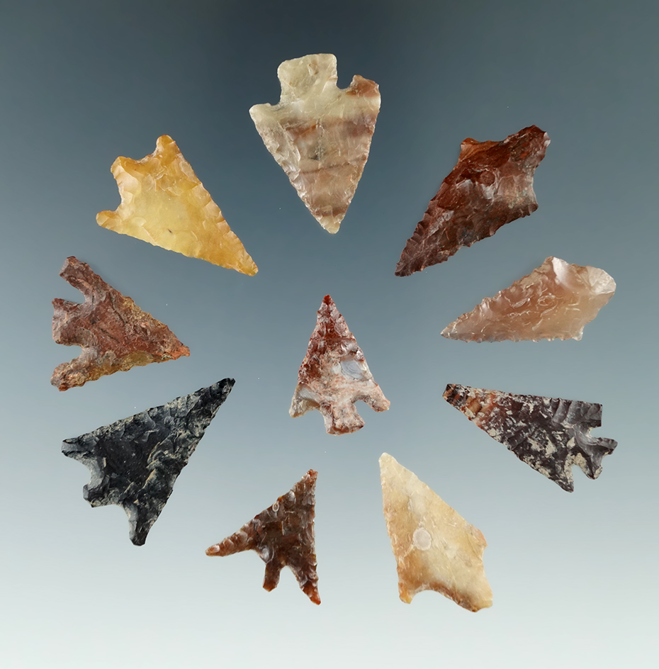 Group of 10 Columbia River arrowheads found by Norma Berg in Washington, largest is 1 1/8".