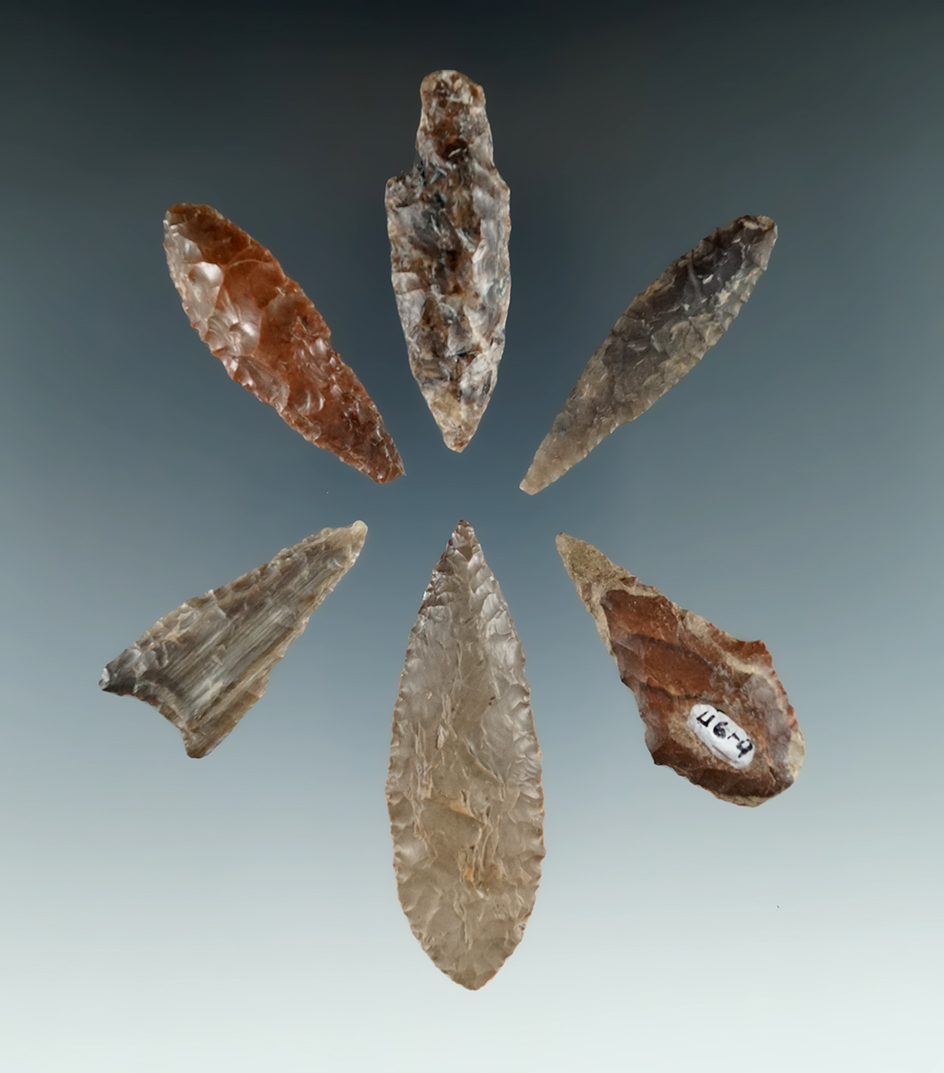 Set of six Columbia River points, largest is 2 7/16".