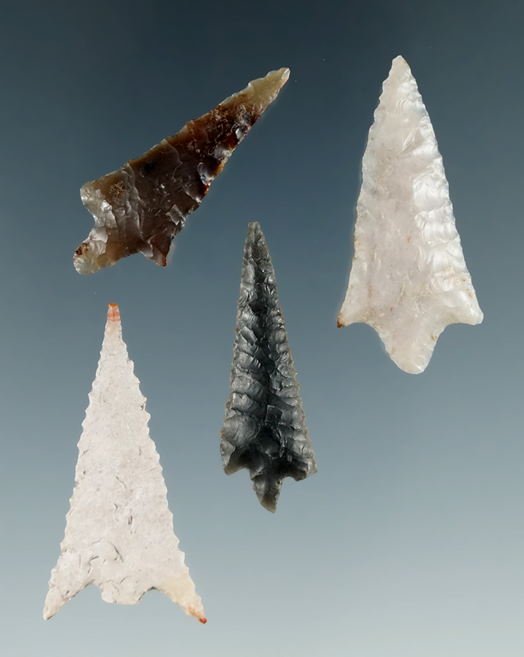 Set of four nice Columbia River Gem points including a well styled 1 1/2" Rabbit Island.
