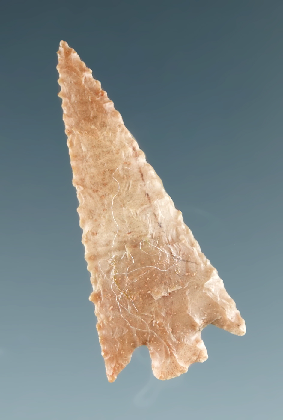 Well styled 1 3/16" Columbia Plateau. Found near the Columbia River. Ex. Schmid collection.