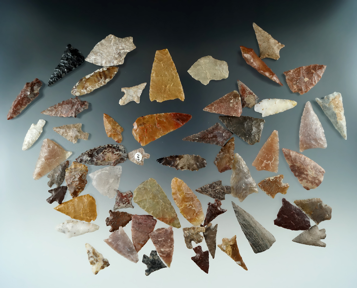 Large group of 50 assorted arrowheads found near the Columbia River by Norma Berg, largest is 1 9/16